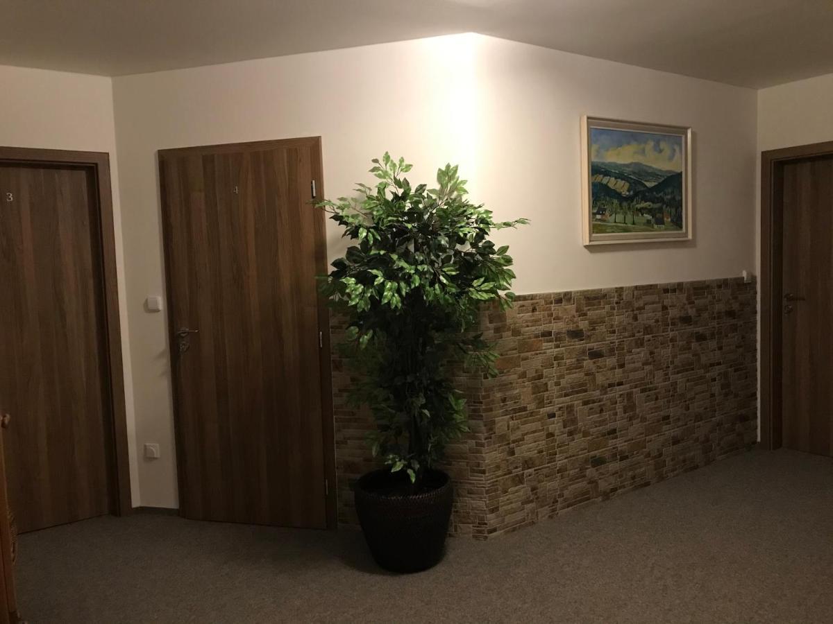 Hotel Na Planyrce Paseky nad Jizerou Exterior foto