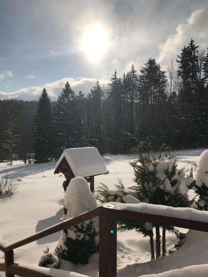 Hotel Na Planyrce Paseky nad Jizerou Exterior foto