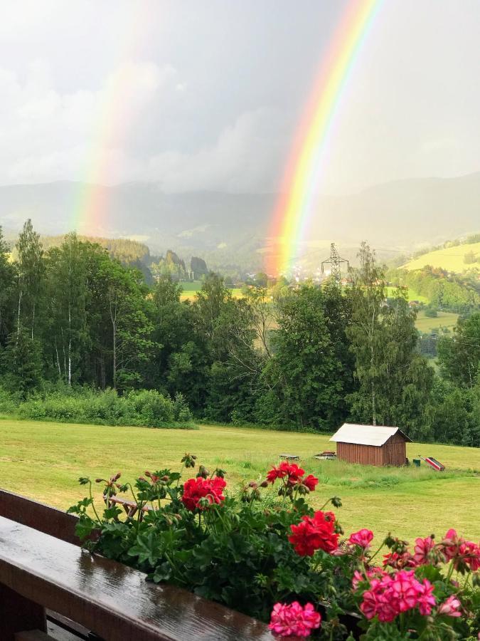 Hotel Na Planyrce Paseky nad Jizerou Exterior foto