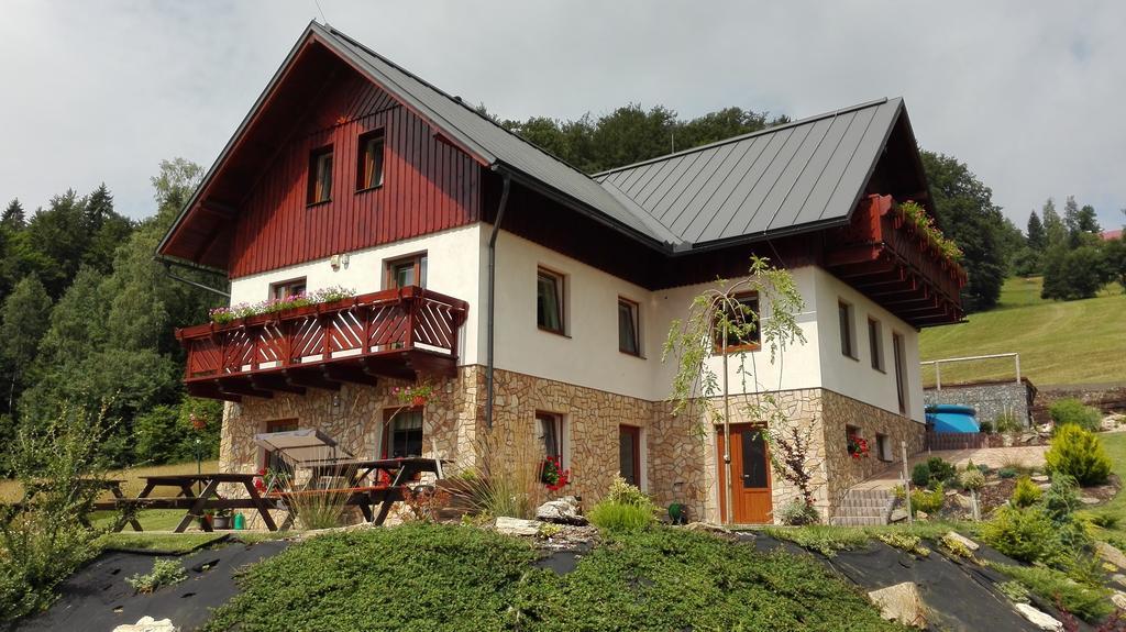 Hotel Na Planyrce Paseky nad Jizerou Exterior foto